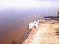 /album/patu/whoo13-322-jpg/